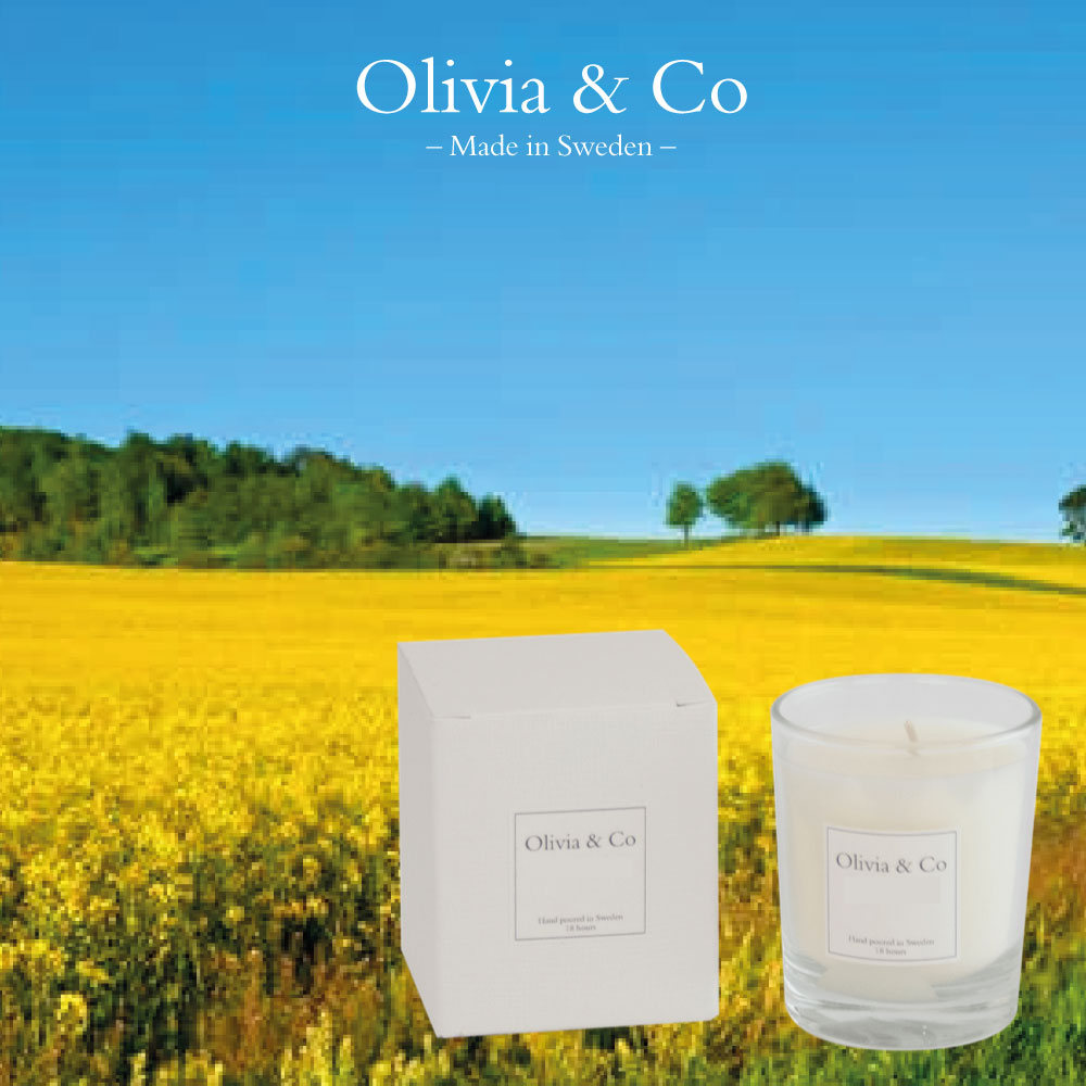 CANDLES SE - OLIVIA & CO - LARGE CANDLE CLEAN WATER - 210 GRAM