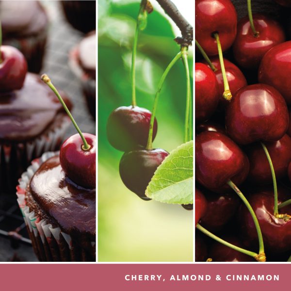 YANKEE CANDLE BLACK CHERRY SCENTPLUG ELECTRIC STARTER KIT
