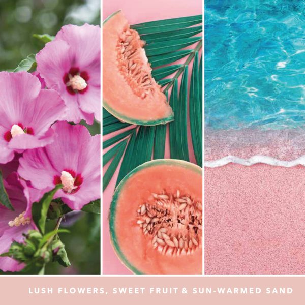 YANKEE CANDLE PINK SANDS SCENTPLUG ELECTRIC STARTER KIT