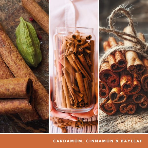 YANKEE CANDLE CINNAMON STICK SCENTPLUG ELECTRIC REFILL