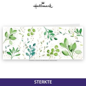 HALLMARK WENSKAART TURNOWSKY 05 - STERKTE