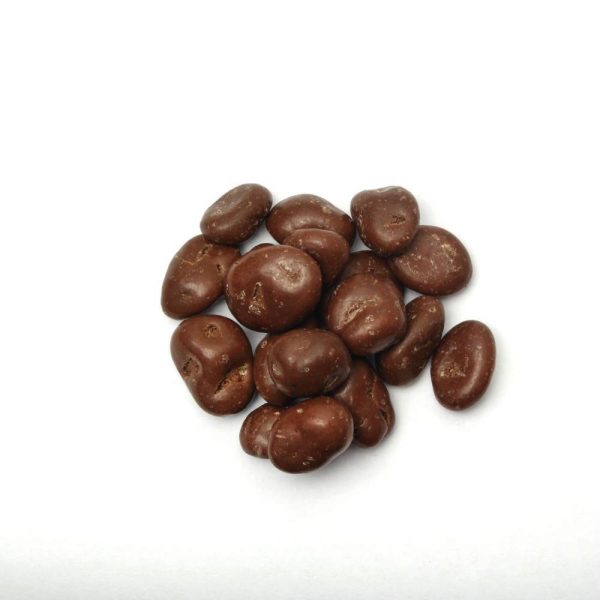 DES NOOTS - CHOCOLADE ROZIJNEN - 225 GR