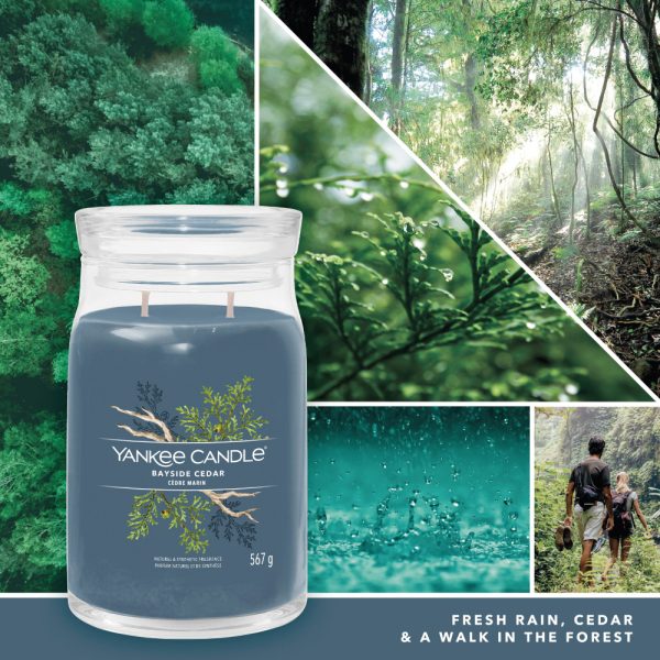 YANKEE CANDLE BAYSIDE CEDAR SIGNATURE 2-WICK LARGE JAR