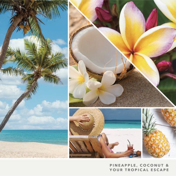 YANKEE CANDLE COCONUT BEACH SIGNATURE 2-WICK MEDIUM JAR