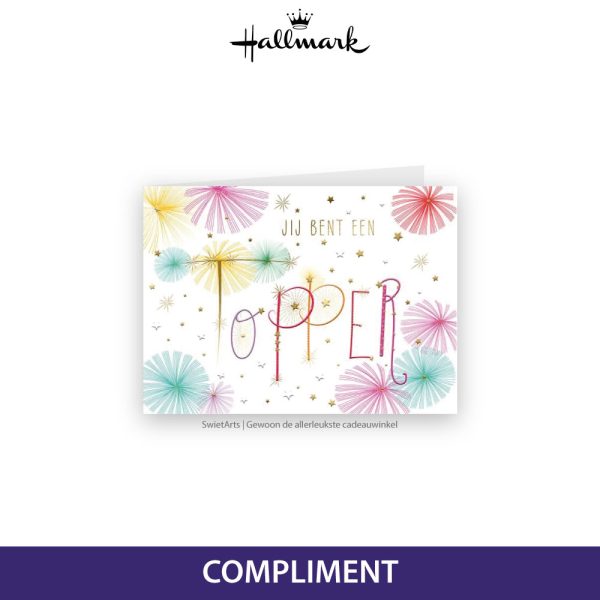 HALLMARK WENSKAART TURNOWSKY 34 - COMPLIMENT