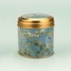 HOLLAND BLIK VAN GOGH AMANDELBLOESEM