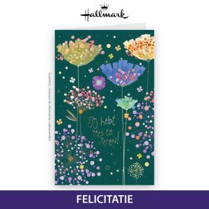 HALLMARK WENSKAART TURNOWSKY 59 - FELICITATIE