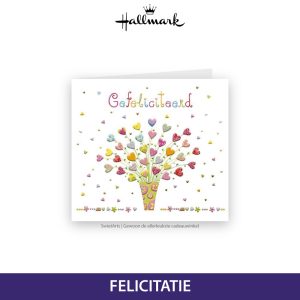 HALLMARK WENSKAART TURNOWSKY 52 - FELICITATIE